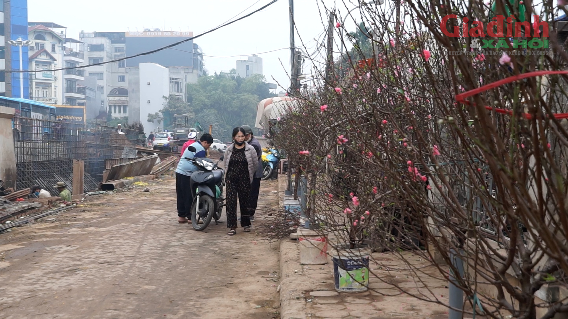 Hà Nội: Hoa đào đắt đỏ, gia đình khá giả chọn mua online chơi Tết Dương lịch, xe ôm kiếm bộn tiền- Ảnh 1.