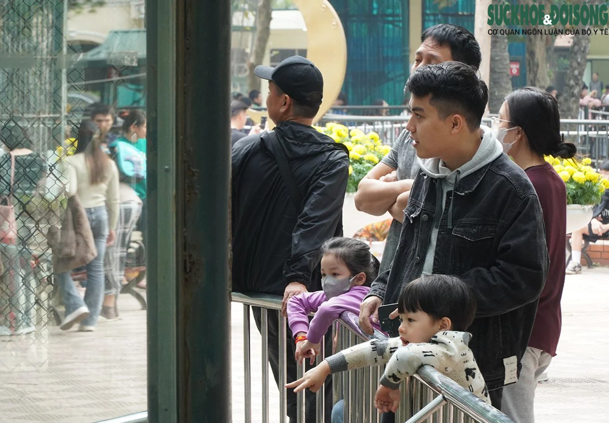 Hà Nội: Thời tiết đẹp, cả nghìn người đưa trẻ tới vườn thú dịp Tết Dương lịch- Ảnh 7.