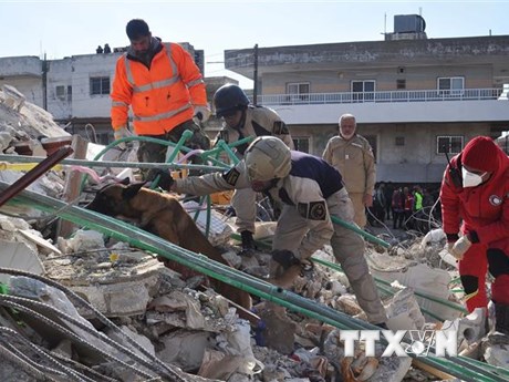 Động đất tại Thổ Nhĩ Kỳ, Syria: Việt Nam sẵn sàng bảo hộ công dân