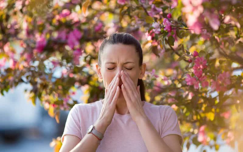 4 loại thảo dược hỗ trợ trị viêm mũi dị ứng mùa Xuân