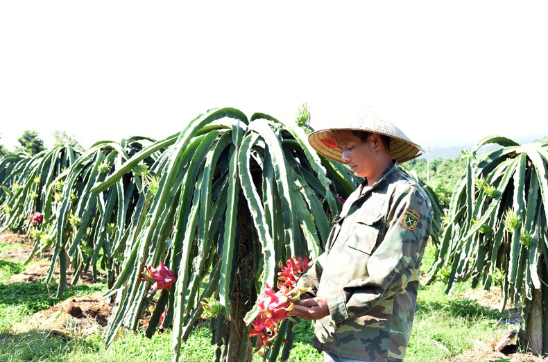 Nông sản Việt nhộn nhịp xuất khẩu sang thị trường Trung Quốc - Ảnh 2.