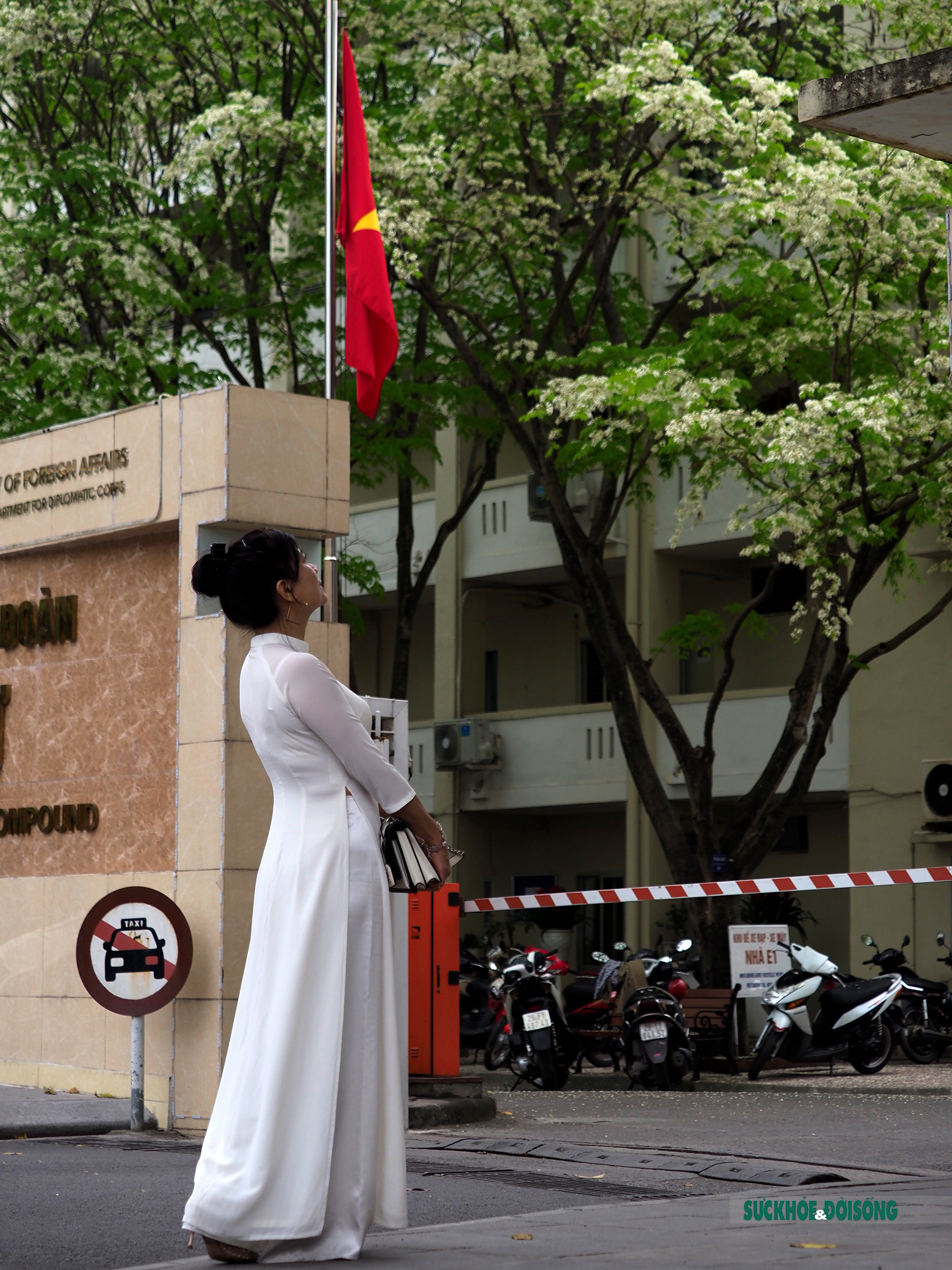 Hoa sưa bung sắc trắng tinh khôi làm nao lòng người Hà Nội - Ảnh 2.