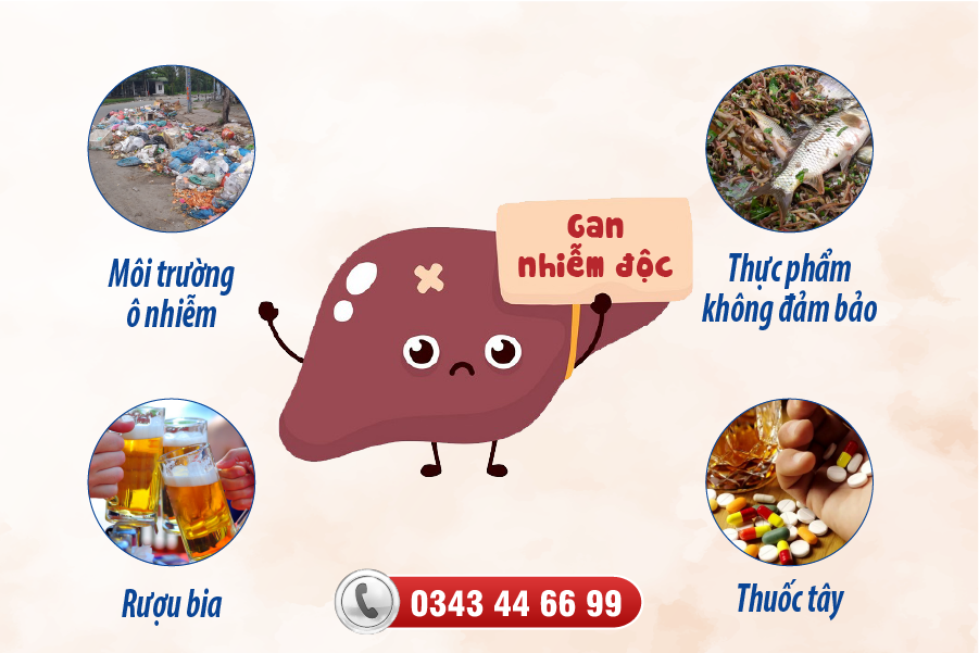 Cách Đào Thải Độc Tố Gan Hiệu Quả