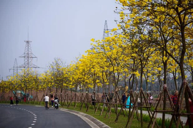 Những địa điểm check-in đẹp nhất Hà Nội mùa cây thay lá, mùa hoa khoe sắc thắm - Ảnh 14.