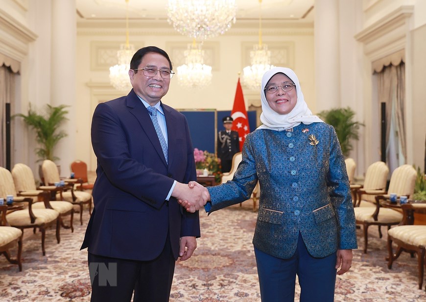 Hình ảnh Thủ tướng hội kiến Tổng thống Singapore Halimah Yacob - Ảnh 1.