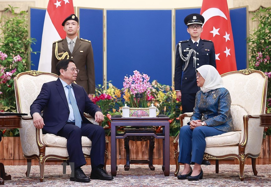 Hình ảnh Thủ tướng hội kiến Tổng thống Singapore Halimah Yacob - Ảnh 2.