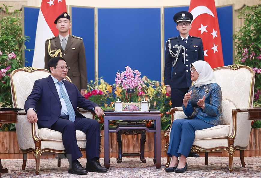 Hình ảnh Thủ tướng hội kiến Tổng thống Singapore Halimah Yacob - Ảnh 4.