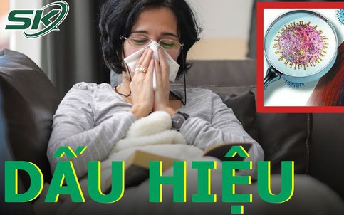 Dấu hiệu bạn đã nhiễm cúm A H5N1