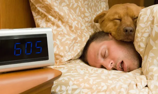 Nghiên cứu cho thấy con người “có thể cần ngủ nhiều hơn vào mùa đông” - Ảnh 1.