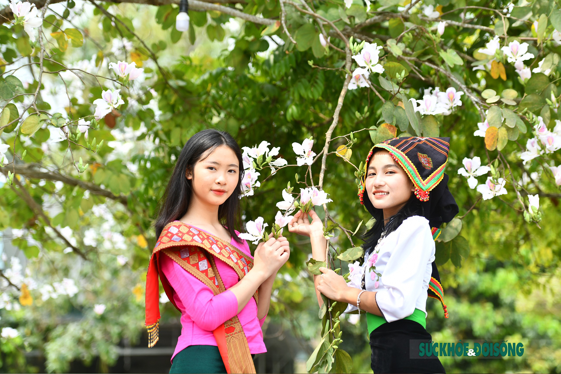 Thiếu nữ Thái ở Điện Biên dịu dàng giữa rừng hoa ban tuyệt đẹp - Ảnh 7.
