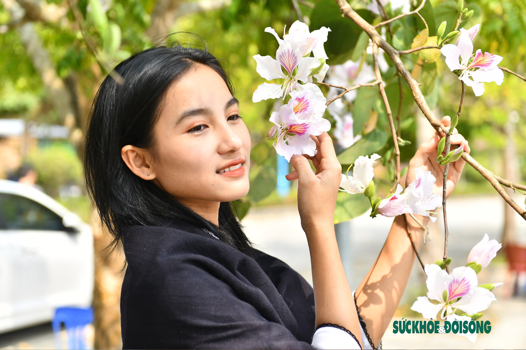 Thiếu nữ Thái ở Điện Biên dịu dàng giữa rừng hoa ban tuyệt đẹp - Ảnh 9.