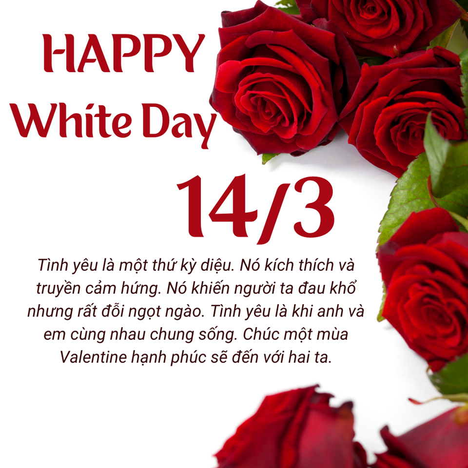 Tổng hợp 100+ hình ảnh ngày valentine trắng và những thông điệp ý nghĩa