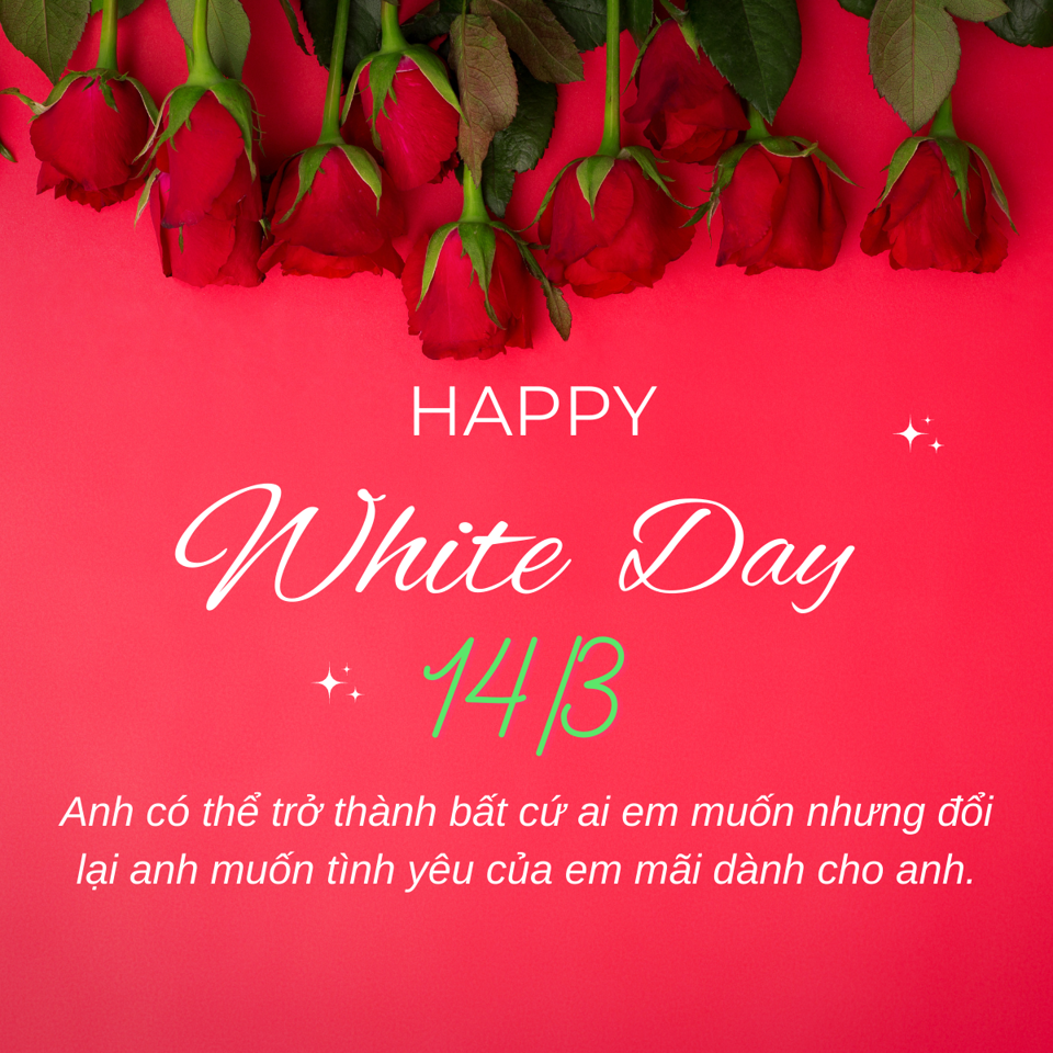 Những lời chúc ngày Valentine trắng 14/3 hay và ý nghĩa nhất