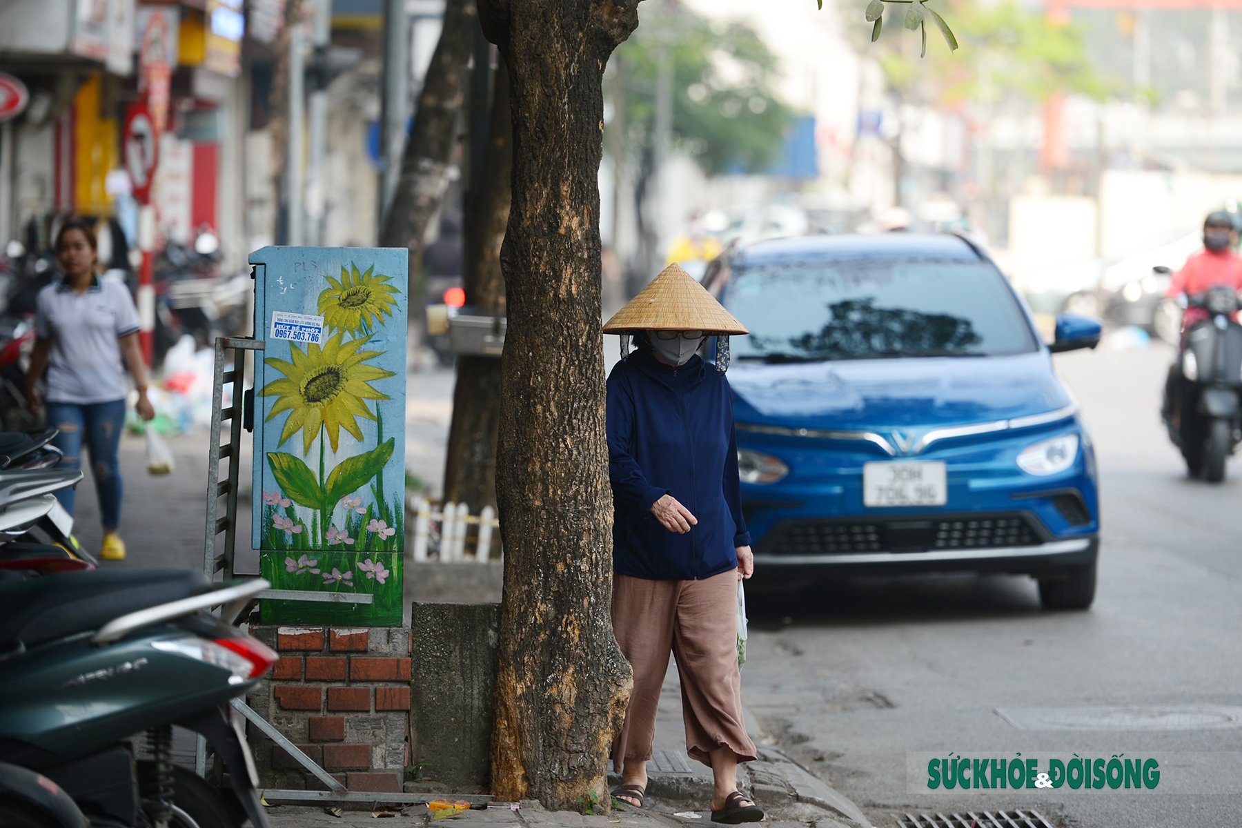 Phần đường cho người đi bộ trên vỉa hè là gốc cây và cột điện  - Ảnh 14.