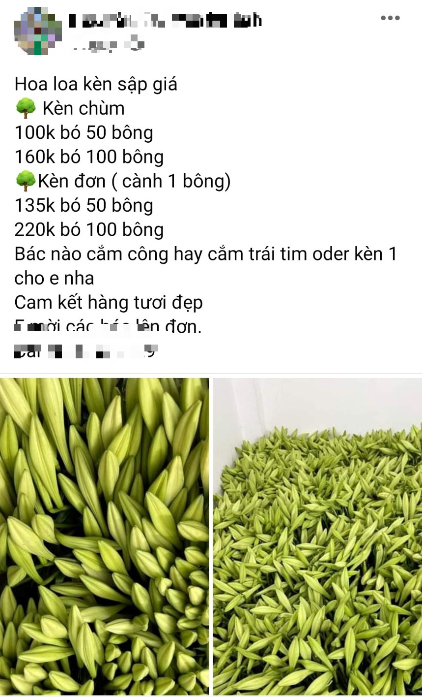 Hoa loa kèn đầu mùa, giá cao vẫn nhiều chị em tấp nập đặt mua - Ảnh 3.