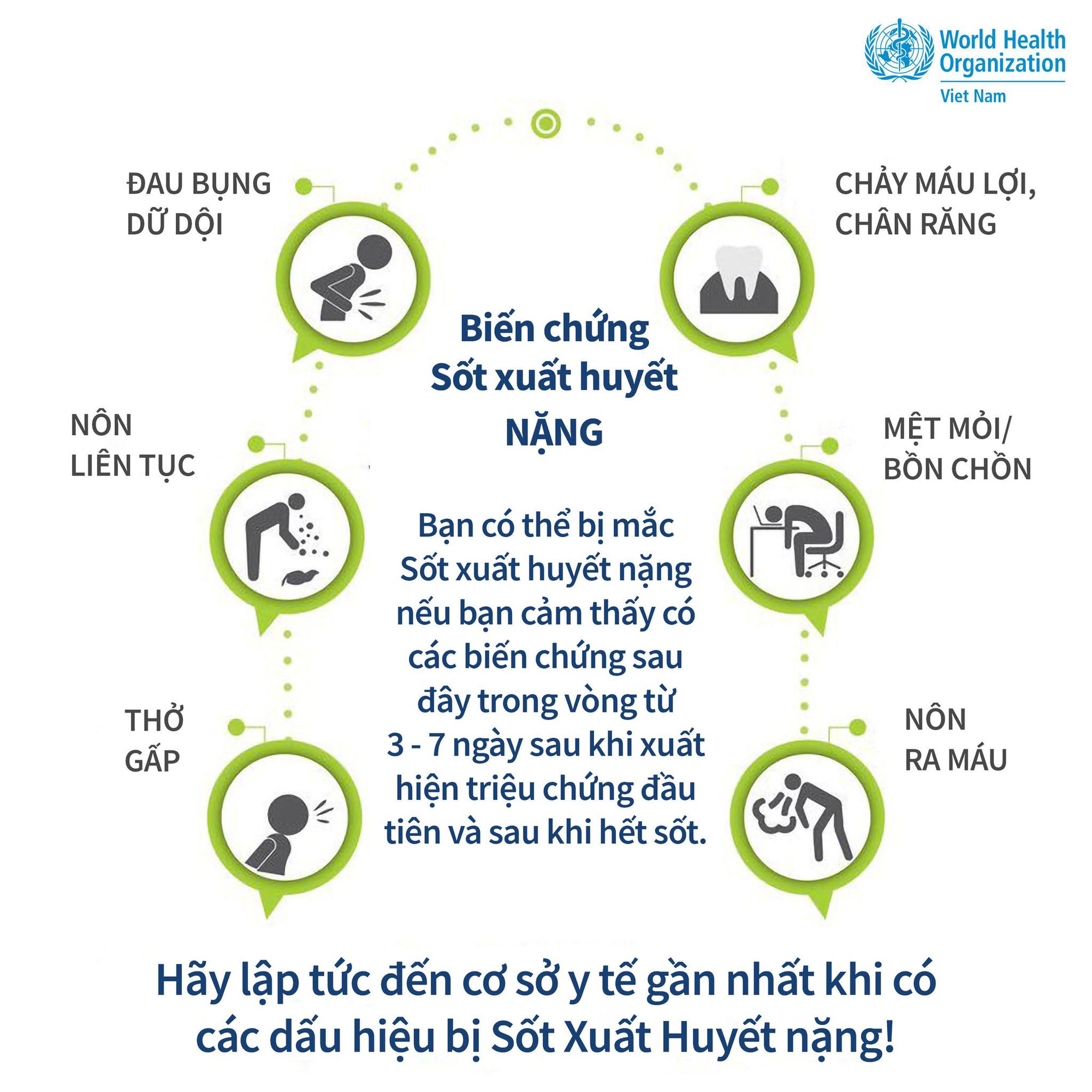 [Infographic] - WHO hướng dẫn nhận biết triệu chứng và điều trị bệnh sốt xuất huyết - Ảnh 4.