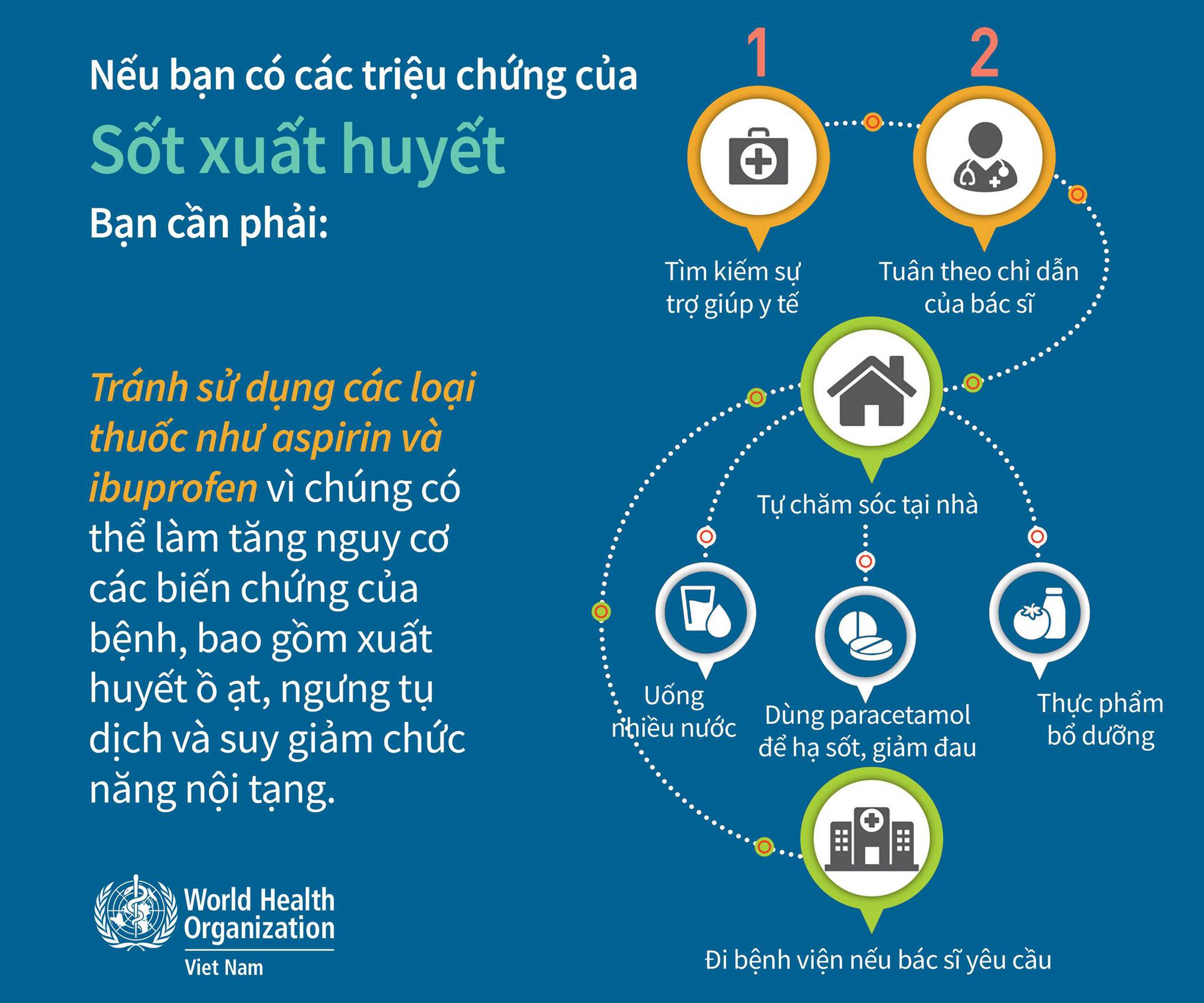 [Infographic] - WHO hướng dẫn nhận biết triệu chứng và điều trị bệnh sốt xuất huyết - Ảnh 3.