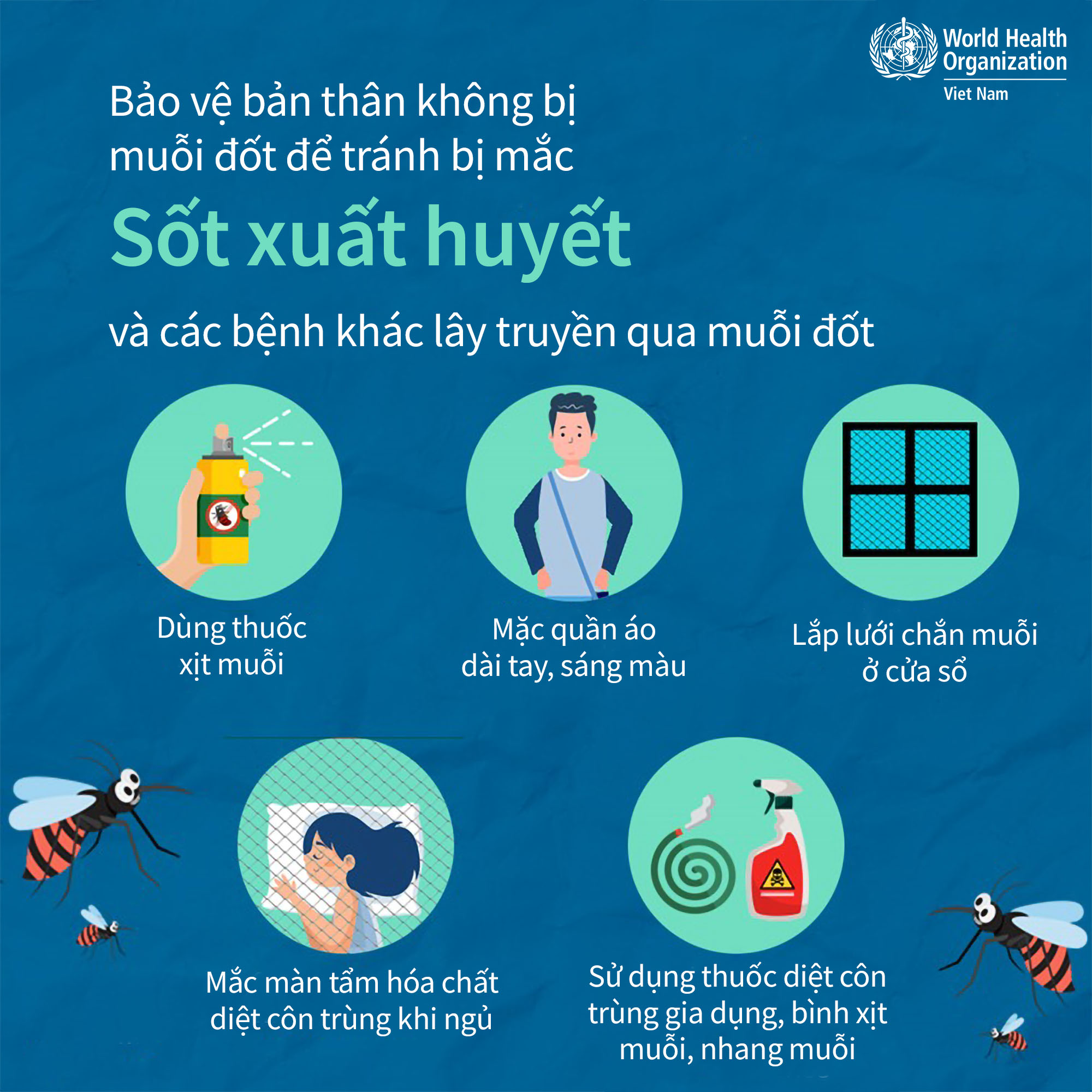 [Infographic] - WHO hướng dẫn nhận biết triệu chứng và điều trị bệnh sốt xuất huyết - Ảnh 5.