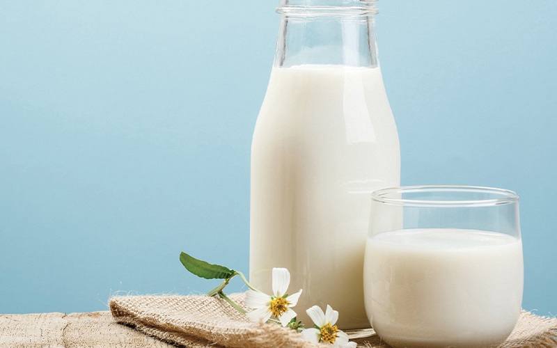 Người mắc bệnh gout nên chọn loại sữa nào?