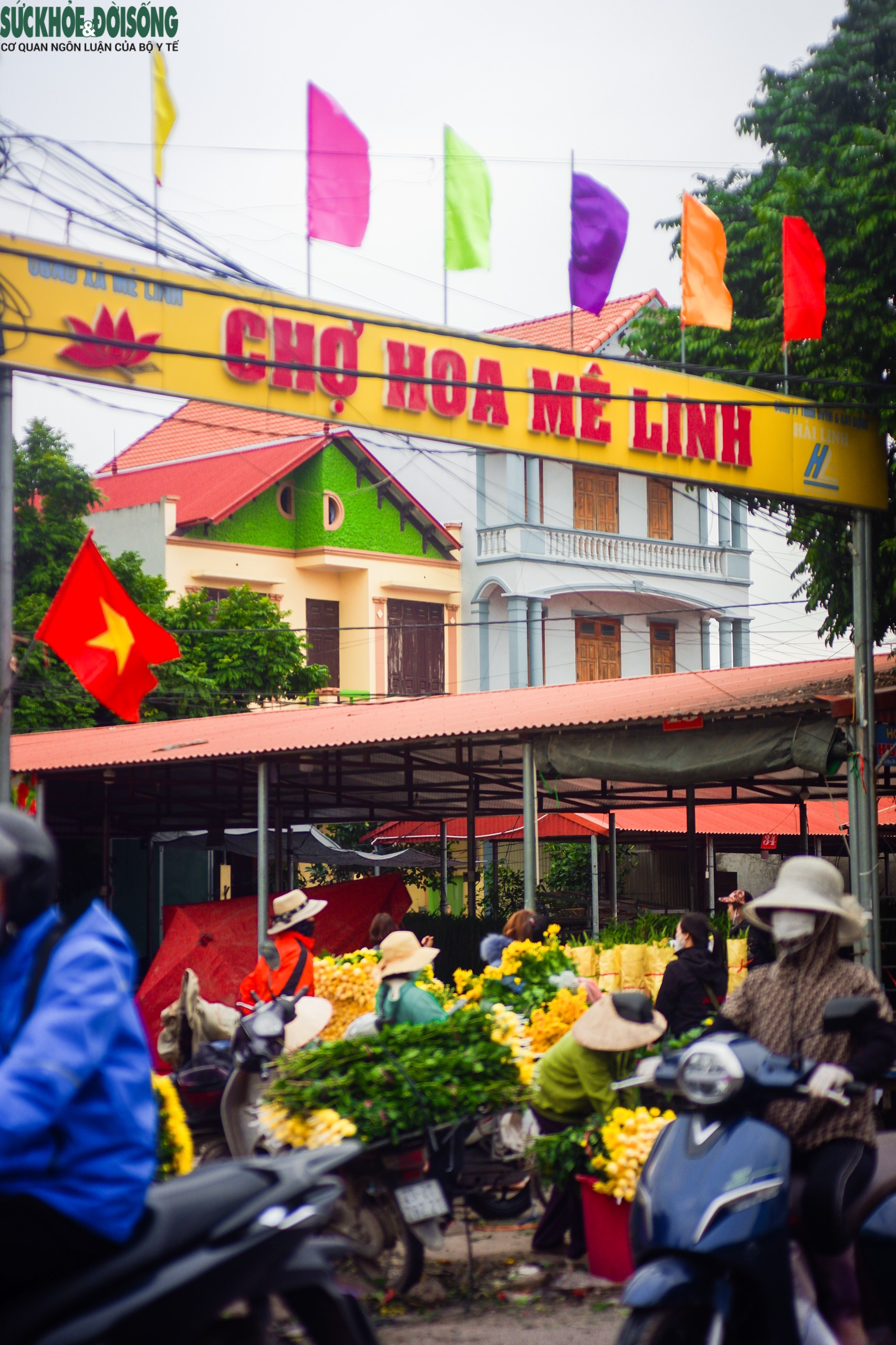 Tiểu thương &quot;luôn tay luôn chân&quot; vào ngày 8/3 tại chợ hoa lớn nhất Hà Nội - Ảnh 1.