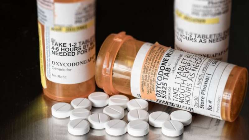 Thuốc giảm đau opioid làm suy giảm nhận thức ở người cao tuổi - Ảnh 2.