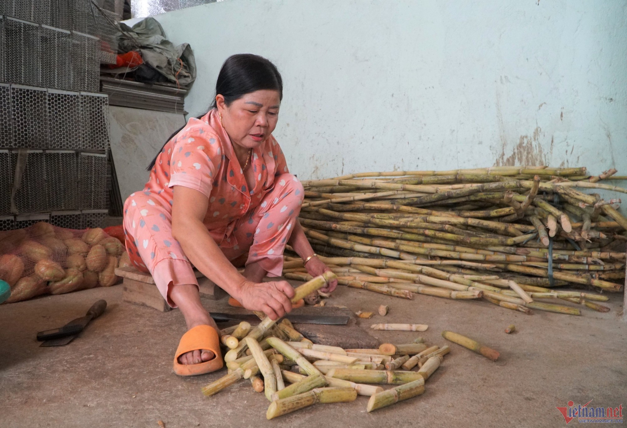 Bật quạt nuôi dúi, người đàn ông ở Thanh Hóa thu tiền tỷ mỗi năm - Ảnh 4.