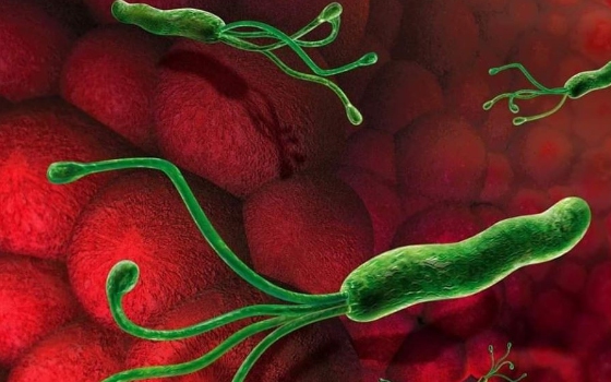 Dùng thuốc tạo màng bọc trong trị loét dạ dày do vi khuẩn H.Pylori