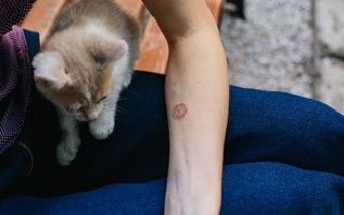 Thận trọng bệnh nấm da do thú cưng chó, mèo