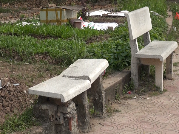 Nhiều hệ luỵ tại công viên Vĩnh Hoàng sau nhiều năm bị bỏ hoang - Ảnh 5.
