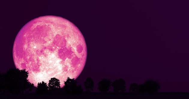 Hôm nay có trăng hồng đẹp kỳ ảo  - Ảnh 2.