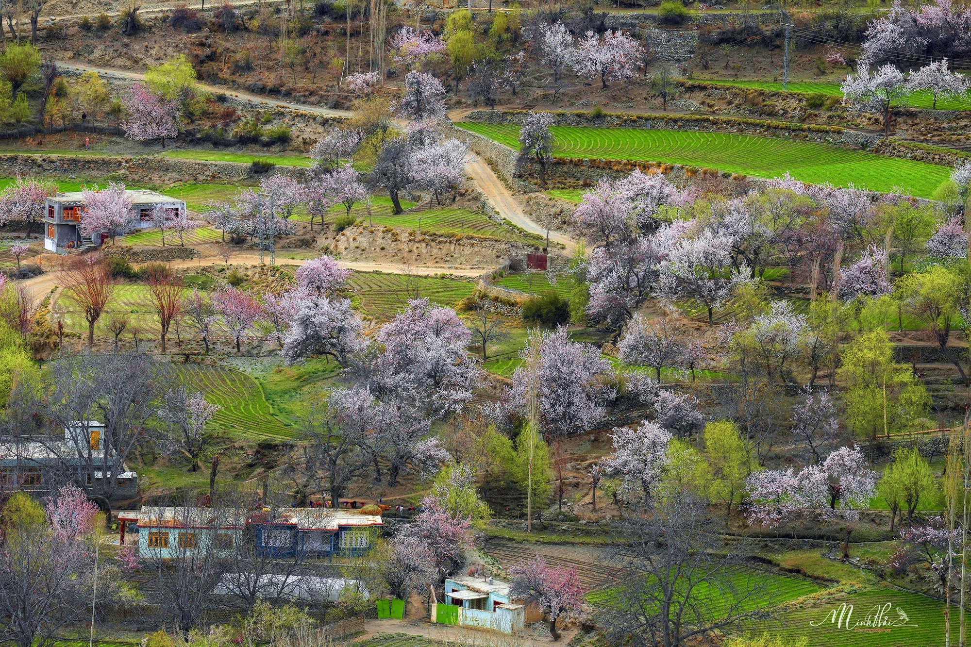 Khung cảnh dịu dàng, nên thơ của mùa xuân ở thung lũng Hunza - Ảnh 8.