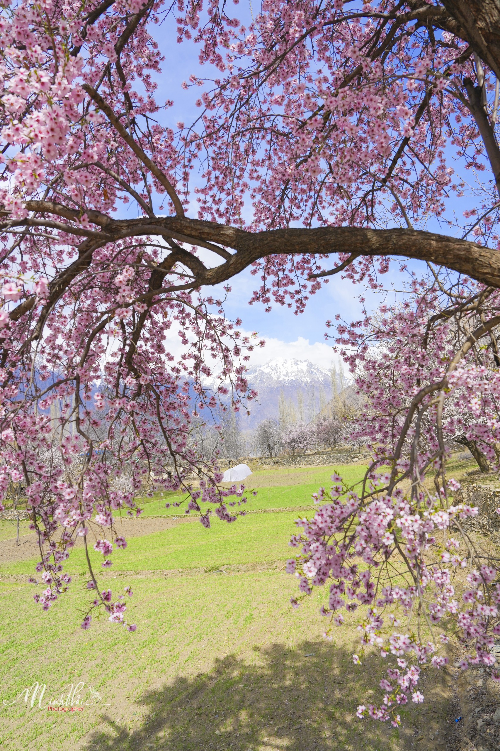 Khung cảnh dịu dàng, nên thơ của mùa xuân ở thung lũng Hunza - Ảnh 2.