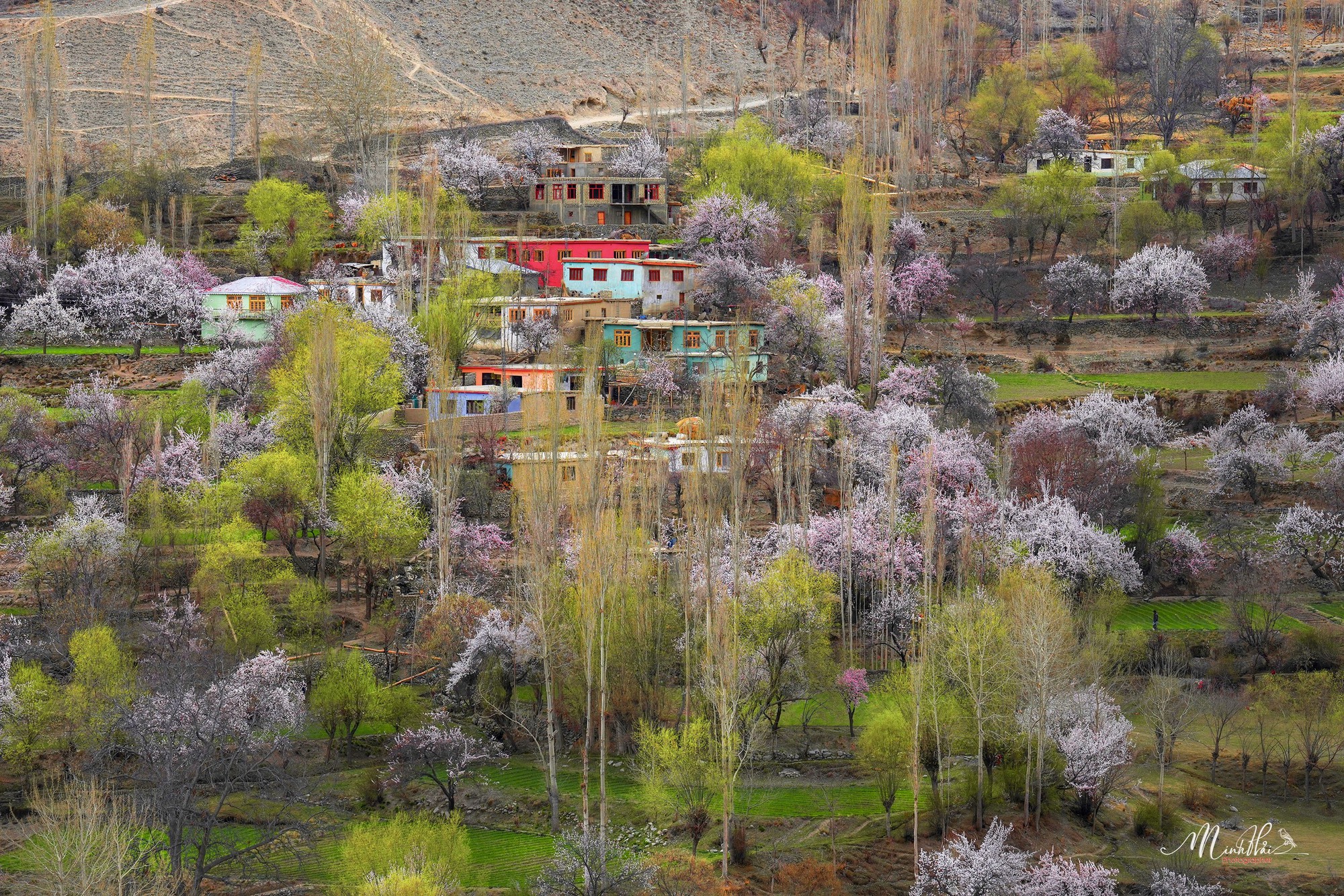 Khung cảnh dịu dàng, nên thơ của mùa xuân ở thung lũng Hunza - Ảnh 10.