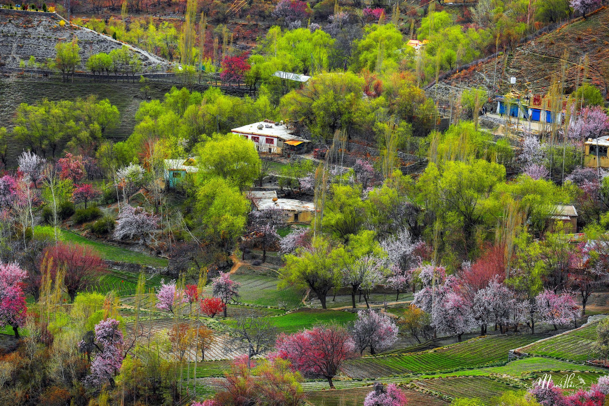 Khung cảnh dịu dàng, nên thơ của mùa xuân ở thung lũng Hunza - Ảnh 9.