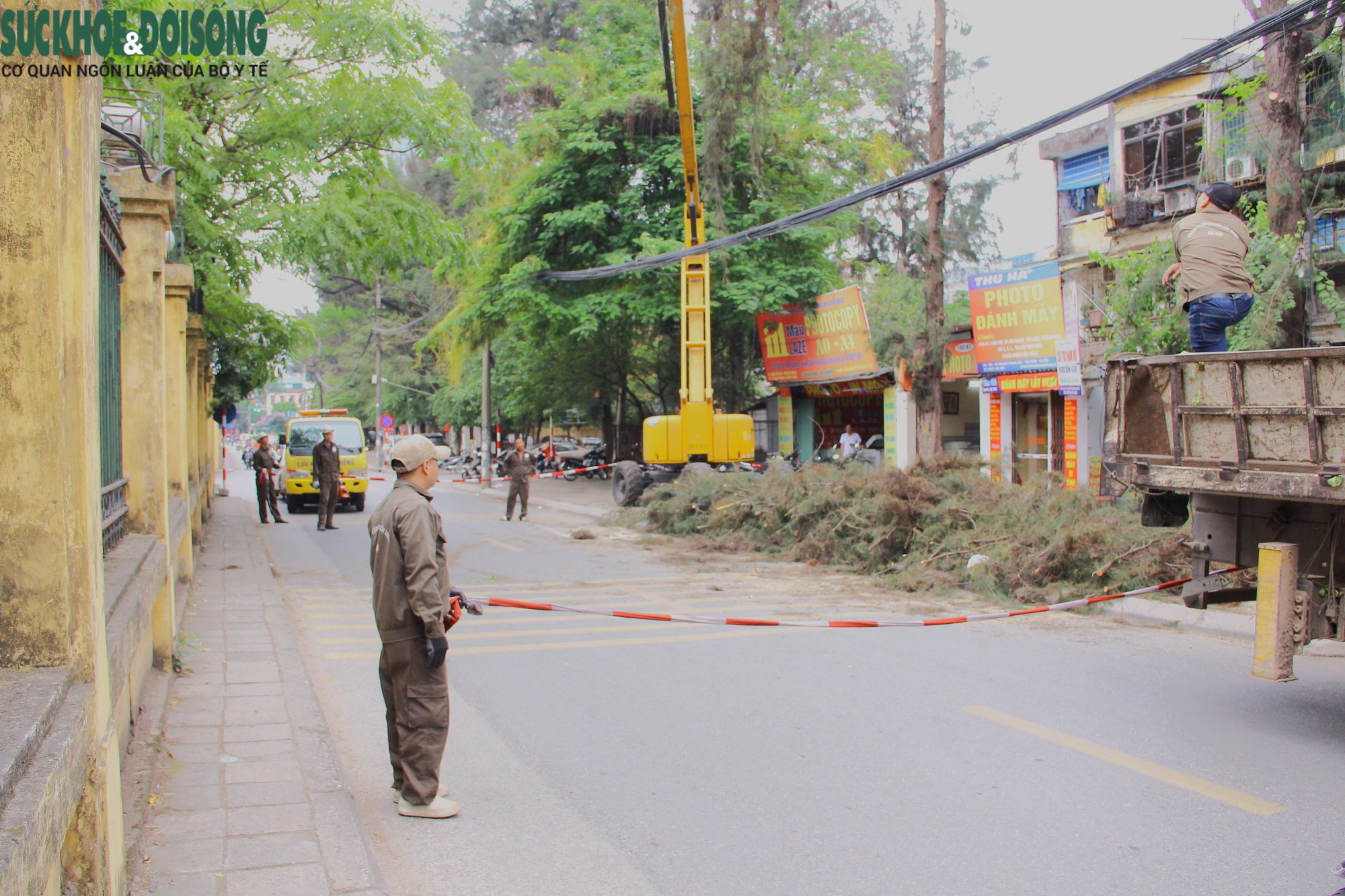 Cận cảnh cắt tỉa loạt cây xanh ở Hà Nội trước mùa mưa bão - Ảnh 8.