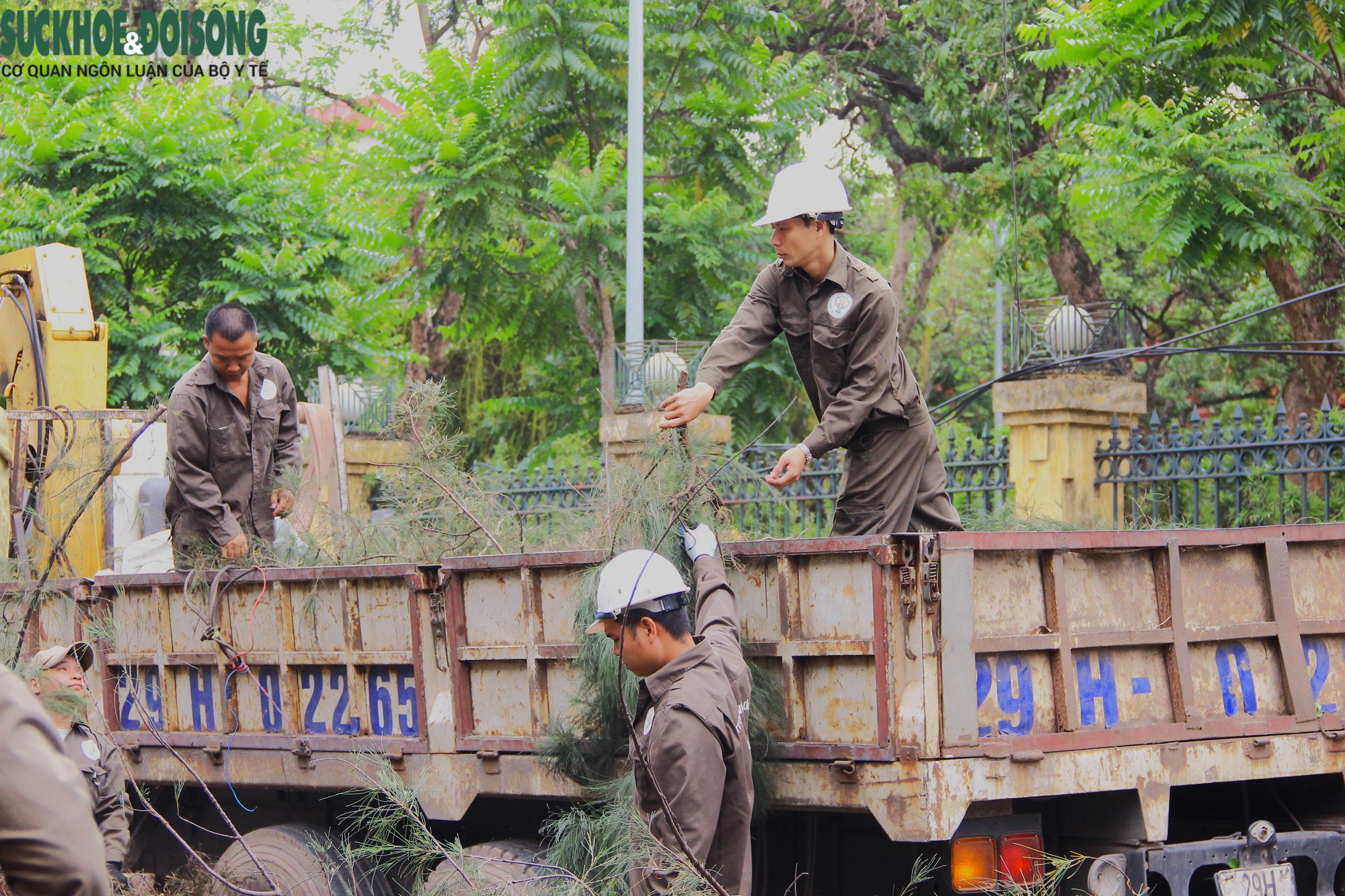 Cận cảnh cắt tỉa loạt cây xanh ở Hà Nội trước mùa mưa bão - Ảnh 14.