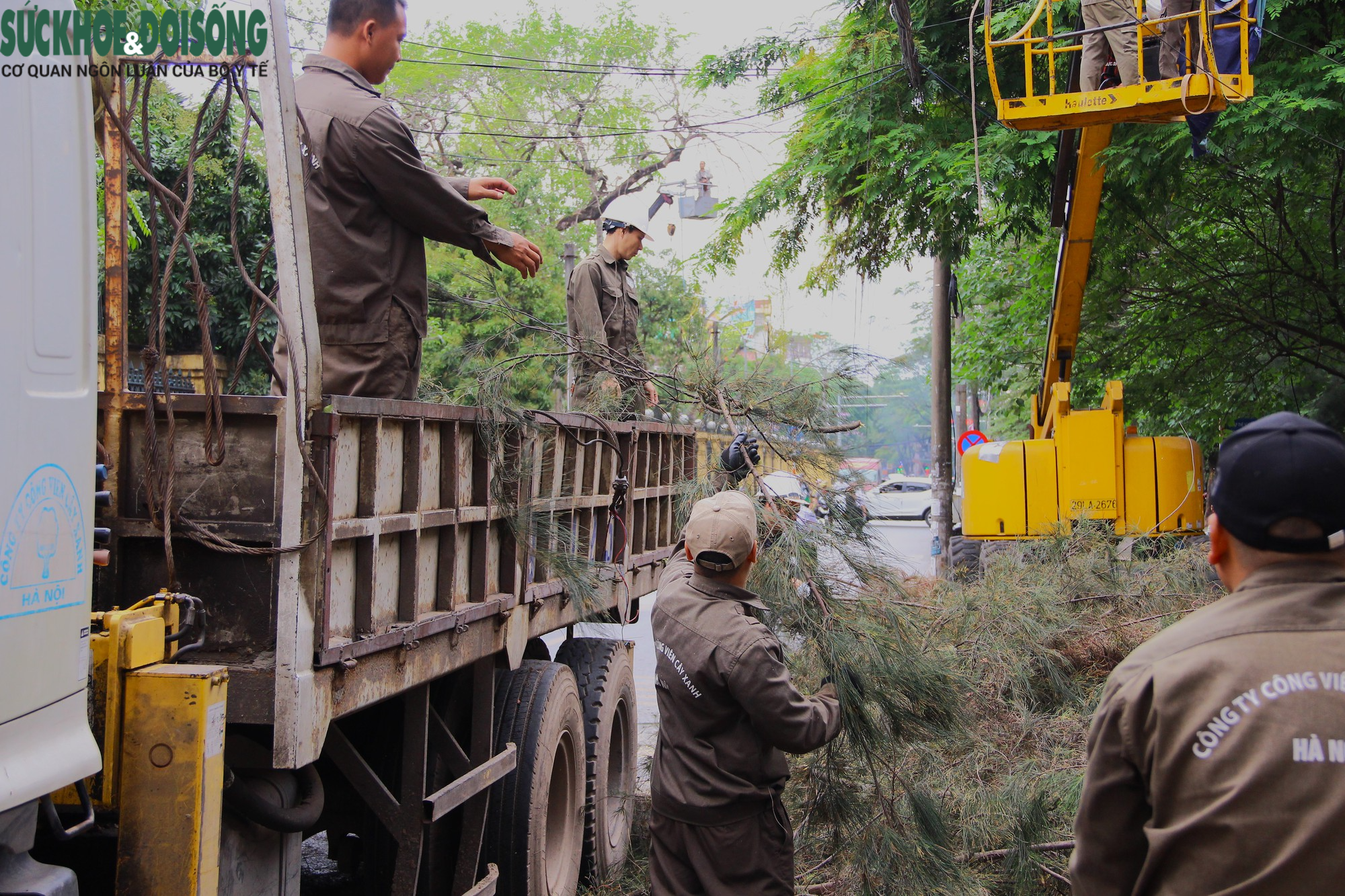 Cận cảnh cắt tỉa loạt cây xanh ở Hà Nội trước mùa mưa bão - Ảnh 18.