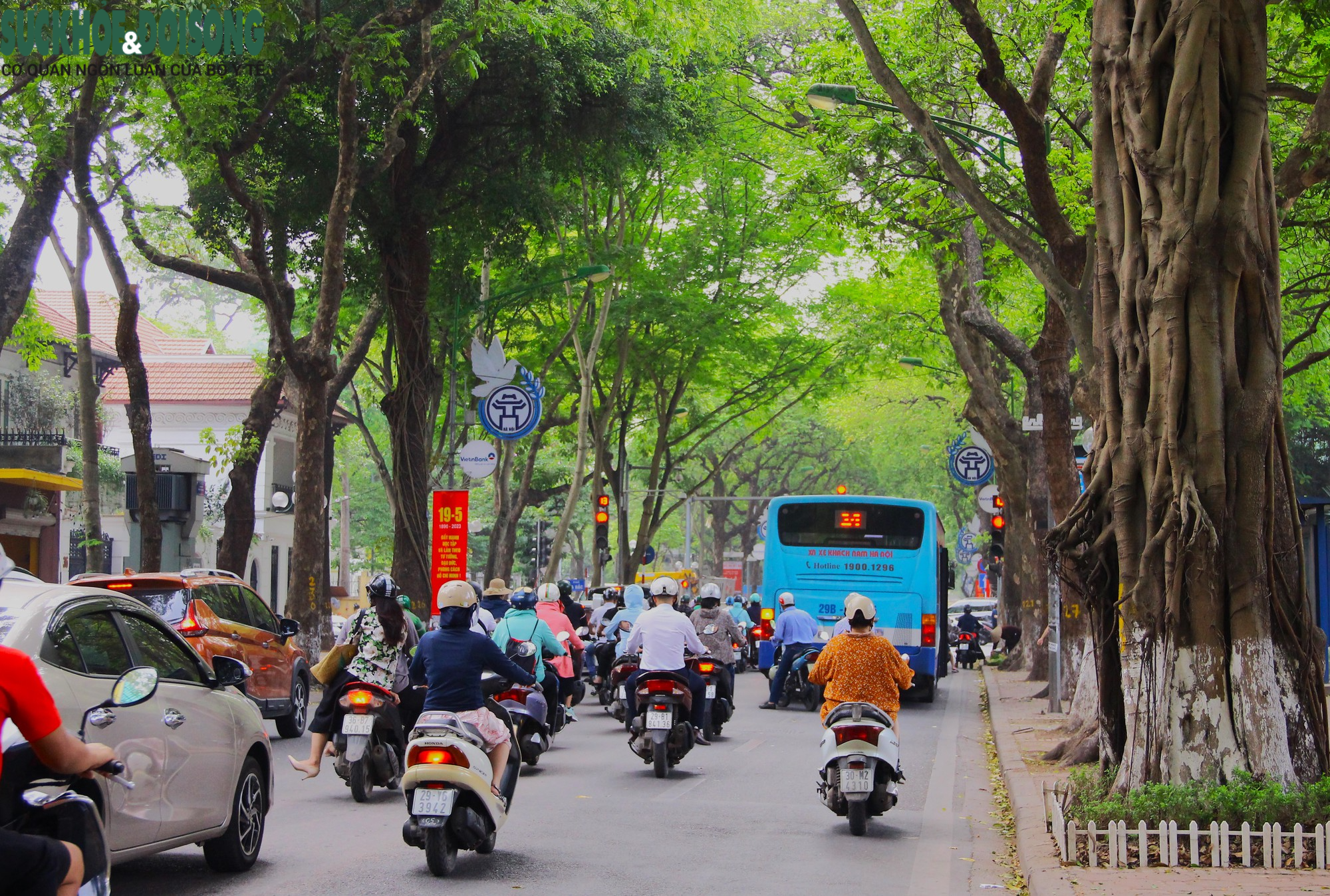 Điểm danh loạt cung đường, tuyến phố mát mẻ giữa &quot;chảo lửa&quot; Hà Nội - Ảnh 3.