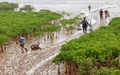 Đi trải nghiệm bắt ngao, học sinh và phụ huynh Hà Nội bị nước biển cuốn tử vong