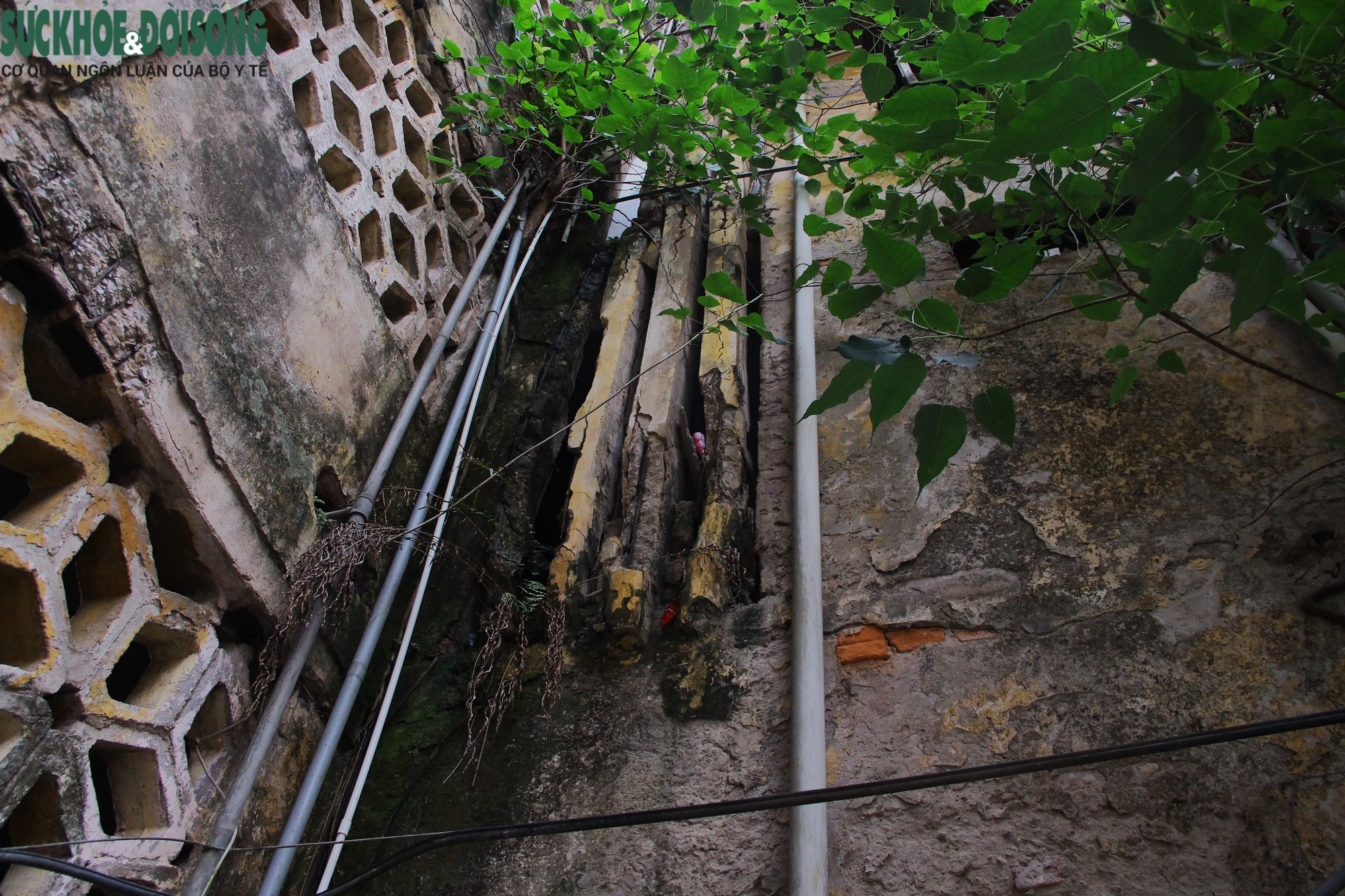 Cận cảnh khu tập thể xuống cấp: Cây cối, rong rêu phủ kín tường rào - Ảnh 10.