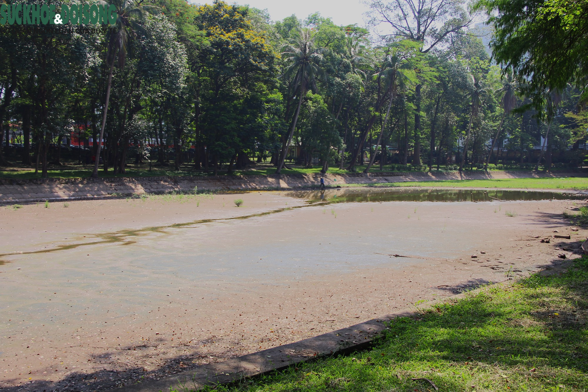 Bất ngờ cảnh hồ nước trong công viên Bách Thảo cạn khô, trơ đáy - Ảnh 3.
