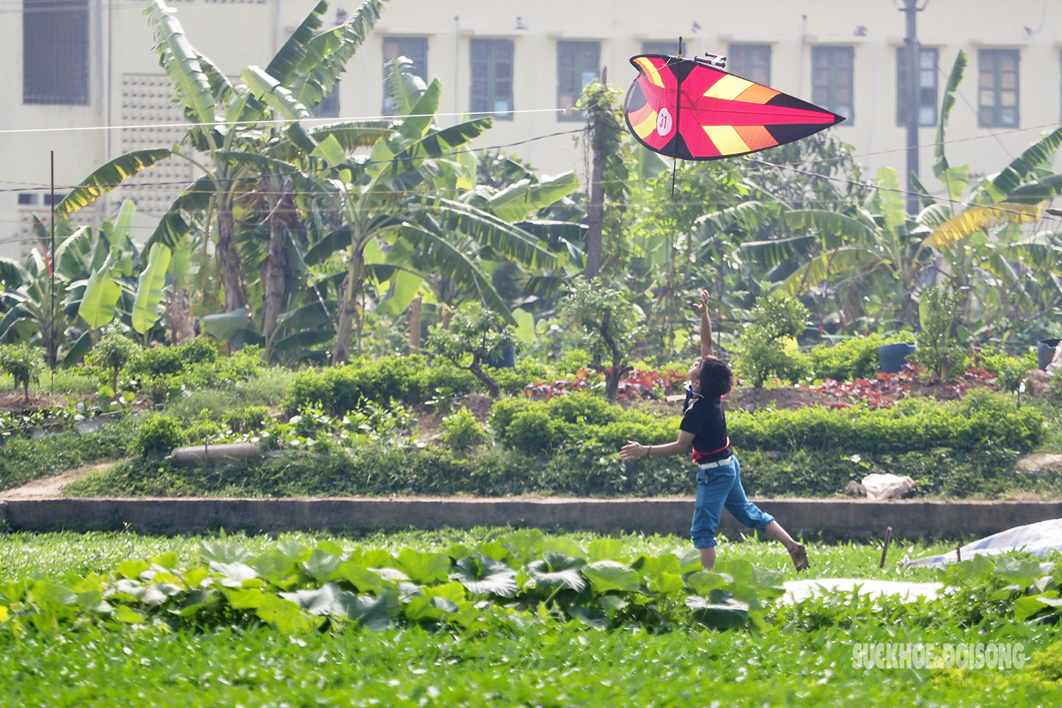 Khoảnh khắc du khách nước ngoài xem người dân Hà Nội thả diều dưới cái nắng gay gắt - Ảnh 4.
