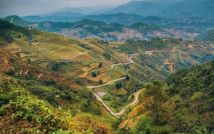 Xe máy lao xuống vực khiến vợ chồng giáo viên thương vong