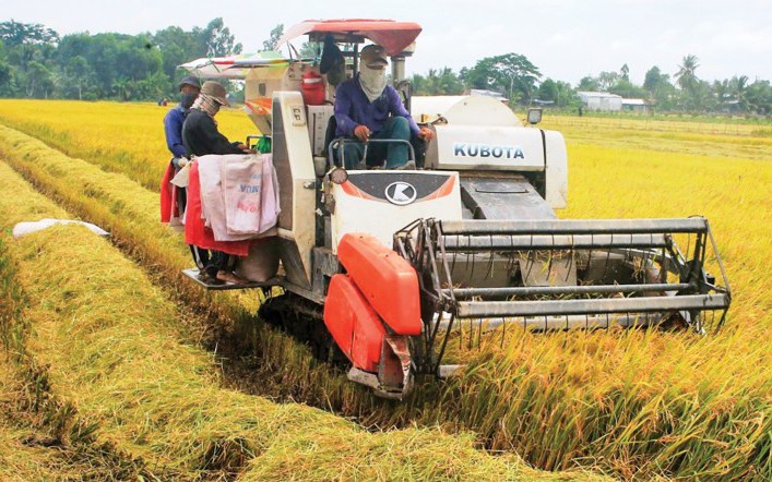 Nghiêm cấm các hành vi “bảo kê, làm giá” máy gặt lúa