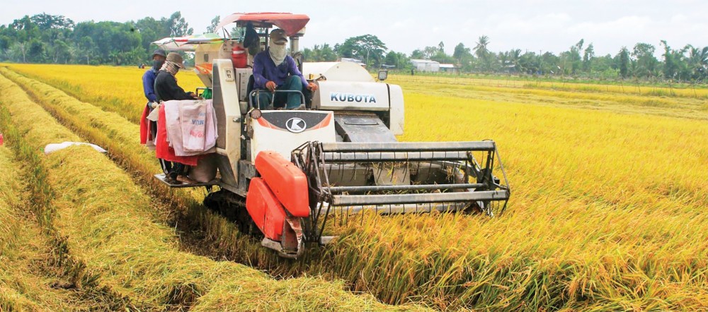 Nghiêm cấm các hành vi “bảo kê, làm giá” máy gặt lúa