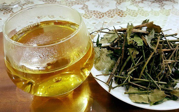 Uống nước lá vối có làm "yếu sinh lý"?