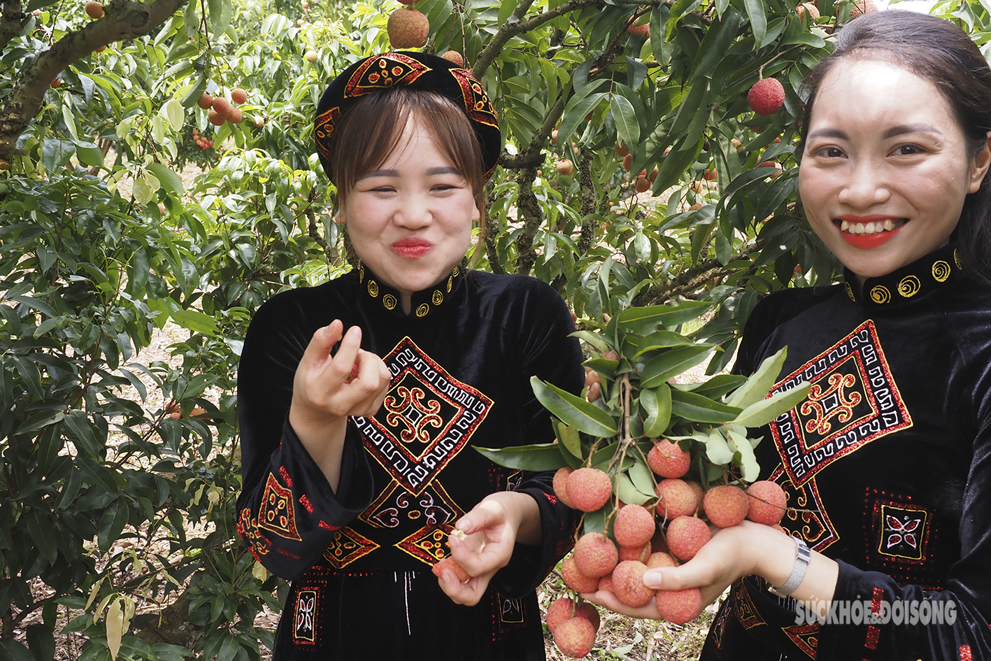 Nam thanh nữ tú &quot;vã mồ hôi&quot; tham gia thi hái vải nhanh  - Ảnh 14.