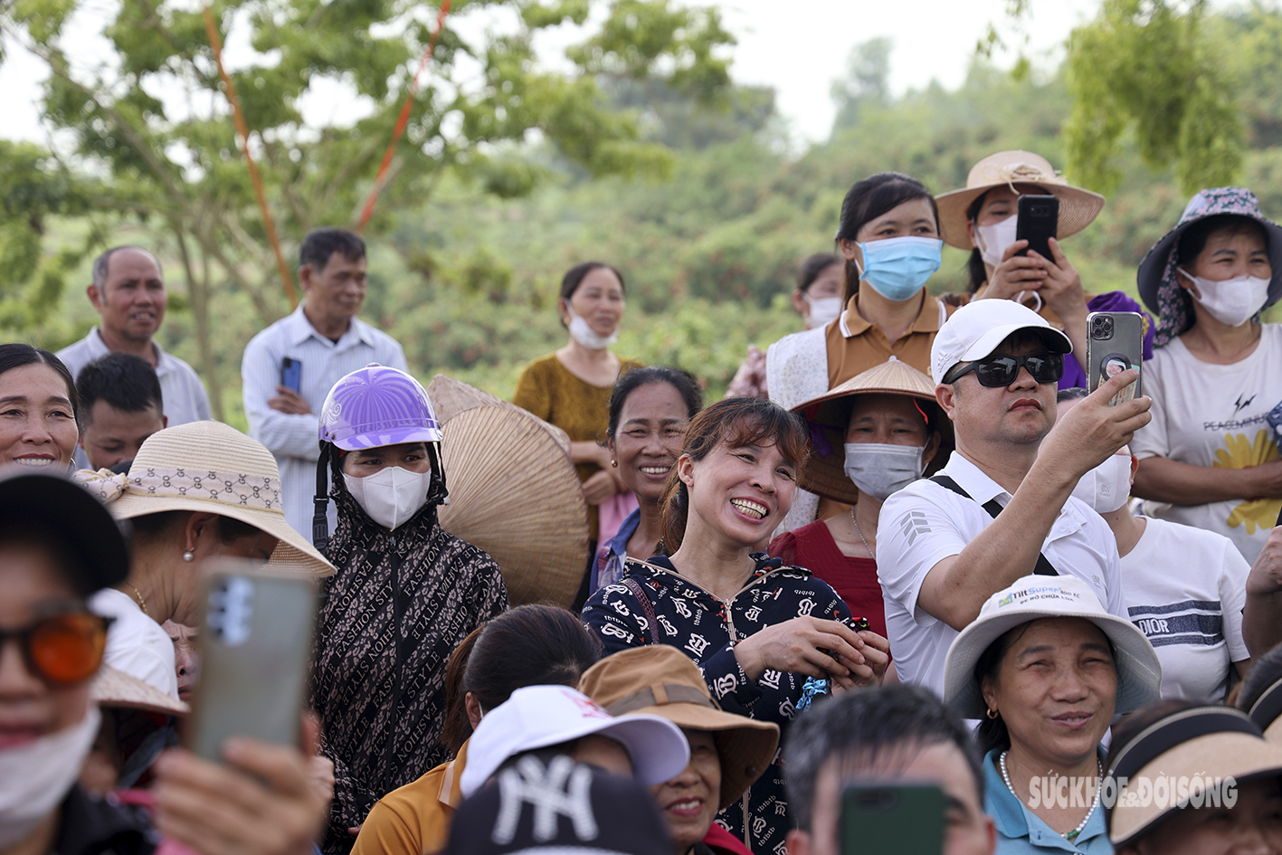 Nam thanh nữ tú &quot;vã mồ hôi&quot; tham gia thi hái vải nhanh  - Ảnh 15.