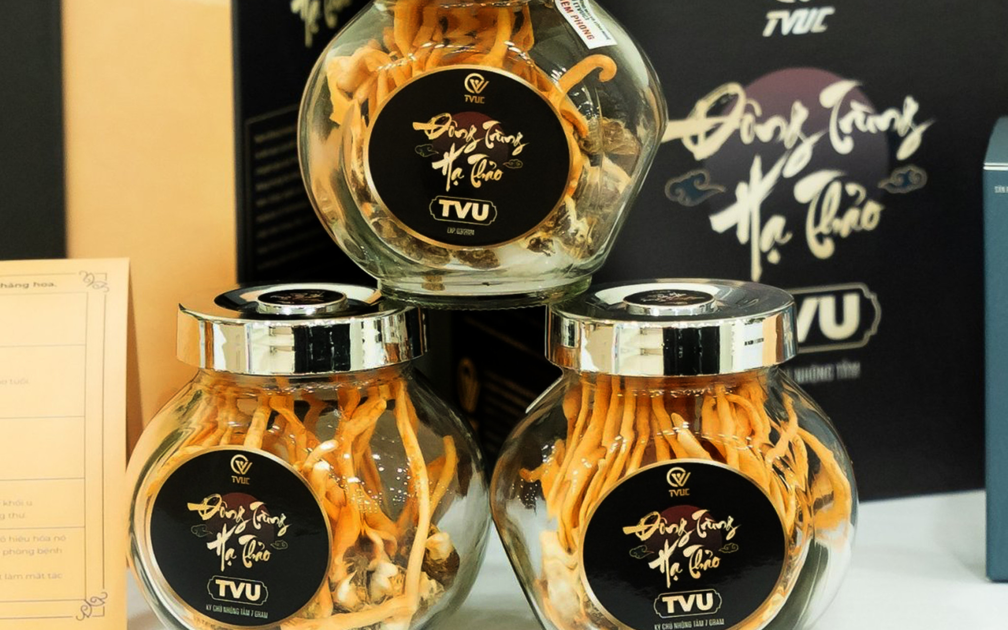 Nhà khoa học Việt nuôi đông trùng hạ thảo giàu hoạt chất trên sâu chít- Ảnh 4. Góc nhìn chuyên gia về hiệu quả cho sức khỏe của đông trùng hạ thảo