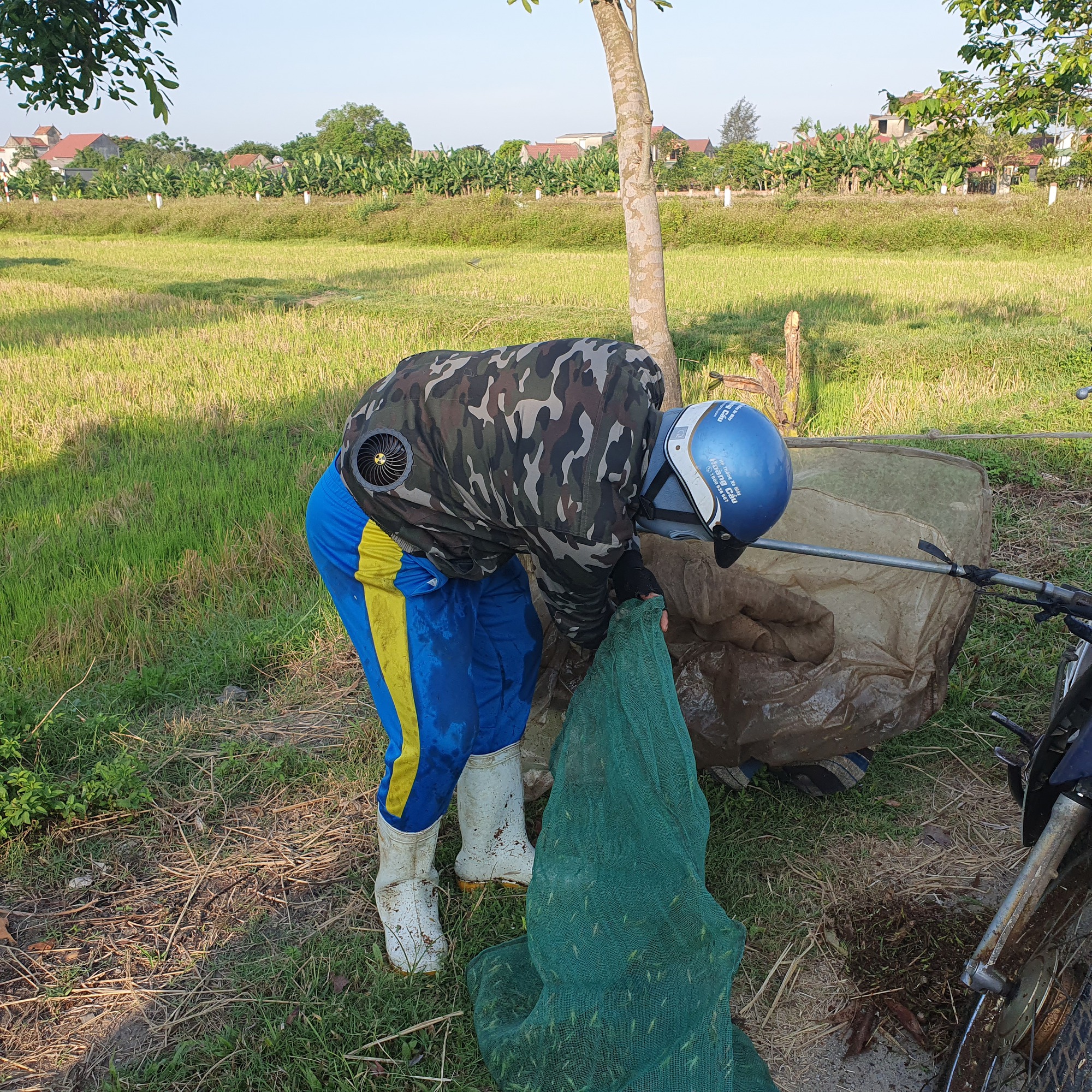 Săn